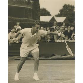 JAROSLAV DROBNY 1955 (WIMBLEDON) TENNIS PHOTOGRAPH
