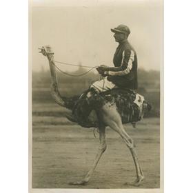 OSTRICH RACING IN PRAGUE 1920S PRESS PHOTOGRAPH