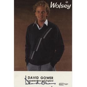 DAVID GOWER (LEICESTERSHIRE, HAMPSHIRE & ENGLAND) SIGNED PROMOTIONAL CARD