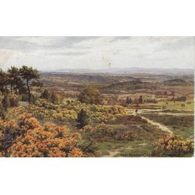 CROWBOROUGH GOLF COURSE (EAST SUSSEX) GOLF POSTCARD