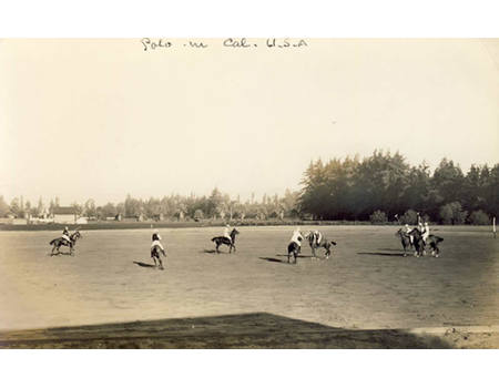 POLO MATCH (CALIFORNIA) POSTCARD