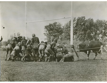 AMERICAN FOOTBALLERS AGAINST A BULL - UNUSUAL 1920S PRESS PHOTOGRAPH