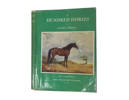 A HUNDRED HORSES