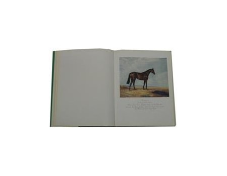 A HUNDRED HORSES