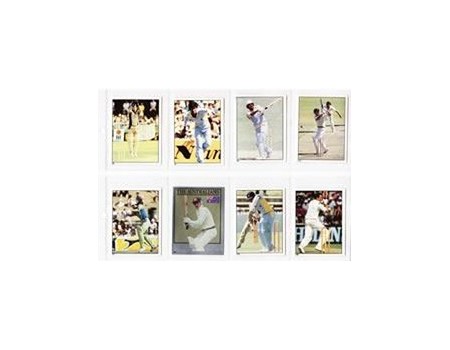 CRICKET STICKERS 1982 (SCANLEN)