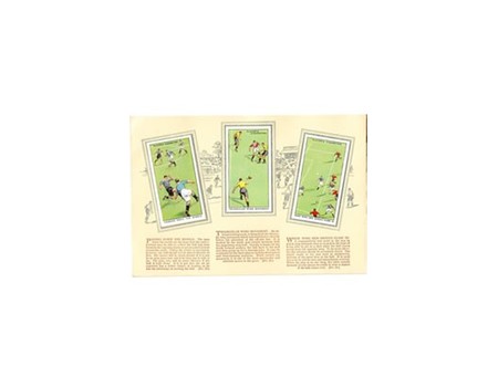 HINTS ON ASSOCIATION FOOTBALL CIGARETTE CARDS (PLAYER