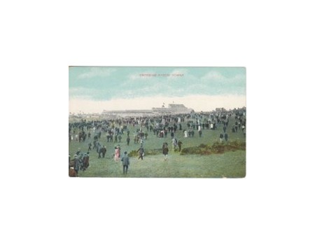 EPSOM - CROSSING EPSOM DOWNS