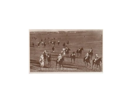 NEWMARKET - RUNNERS ON THE WAY TO POST