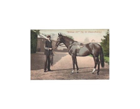 WILLIAM III (BY ST. SIMON-GRAVITY) - ASCOT GOLD CUP WINNER 1902
