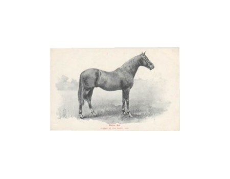 BEND OR - DERBY WINNER 1880