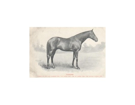 "ISINGLASS" - DERBY WINNER 1893