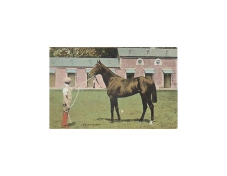 VOLODYOVSKI - DERBY WINNER 1901