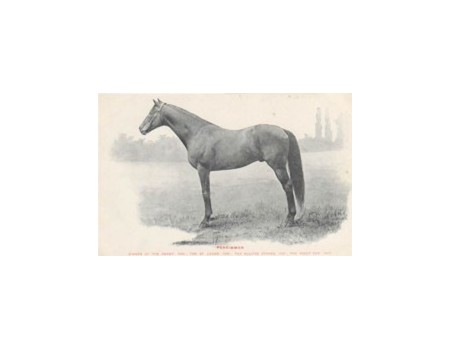 PERSIMMON - DERBY WINNER 1896
