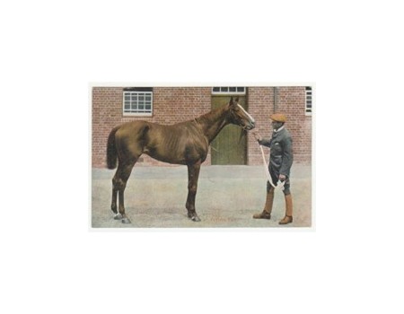 FLYING FOX - DERBY WINNER 1899