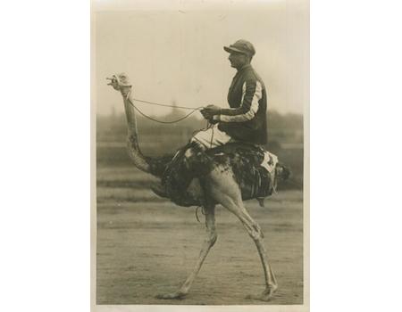 OSTRICH RACING IN PRAGUE 1920S PRESS PHOTOGRAPH