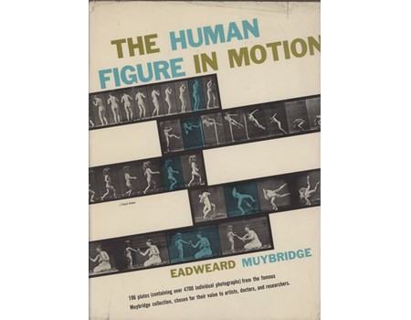 THE HUMAN FIGURE IN MOTION